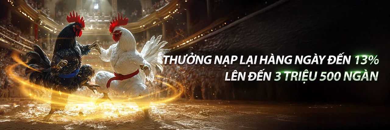 Tổng quan nền tảng boss8 win